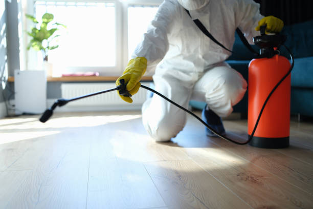 Reliable Infectious Disease Decontamination contractor in Lakemont, GA by Trauma Clean Pros